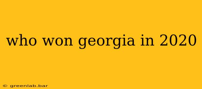 who won georgia in 2020