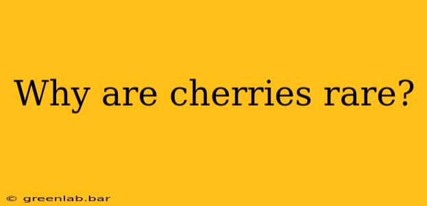 Why are cherries rare?