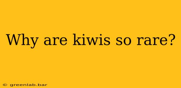 Why are kiwis so rare?