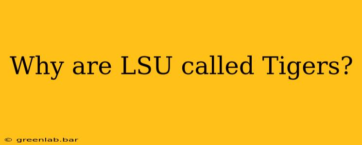 Why are LSU called Tigers?