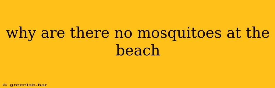 why are there no mosquitoes at the beach