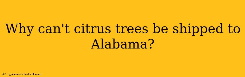 Why can't citrus trees be shipped to Alabama?