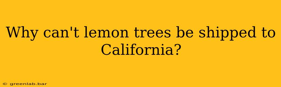 Why can't lemon trees be shipped to California?