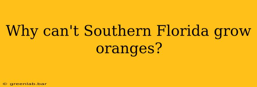 Why can't Southern Florida grow oranges?