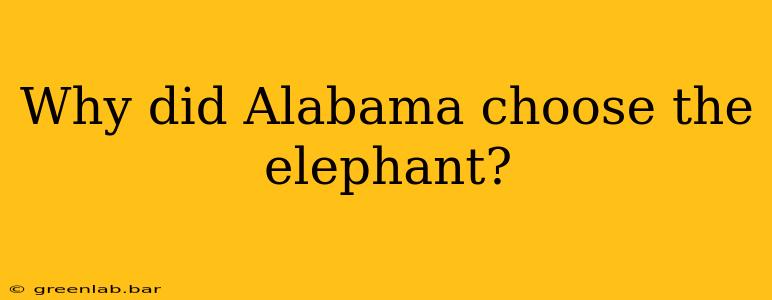 Why did Alabama choose the elephant?