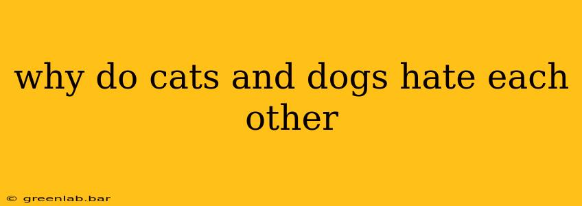 why do cats and dogs hate each other