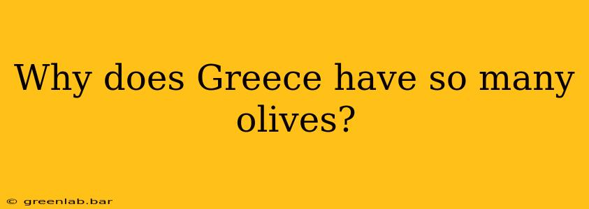 Why does Greece have so many olives?