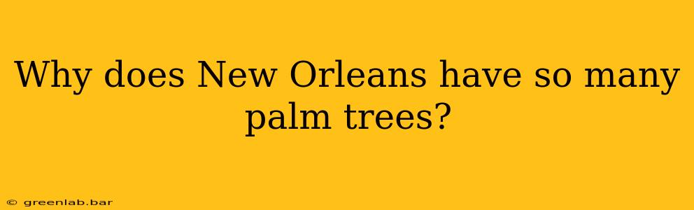 Why does New Orleans have so many palm trees?