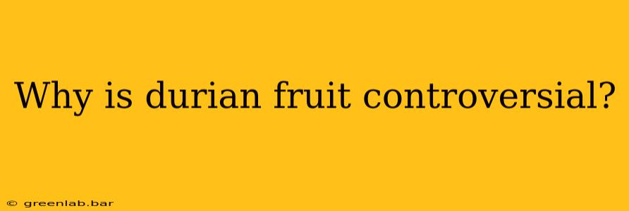 Why is durian fruit controversial?