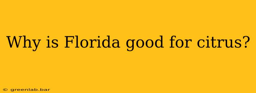 Why is Florida good for citrus?