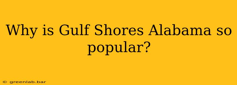 Why is Gulf Shores Alabama so popular?