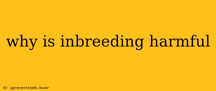 why is inbreeding harmful