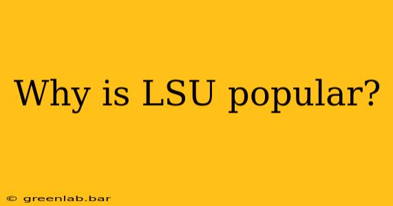 Why is LSU popular?