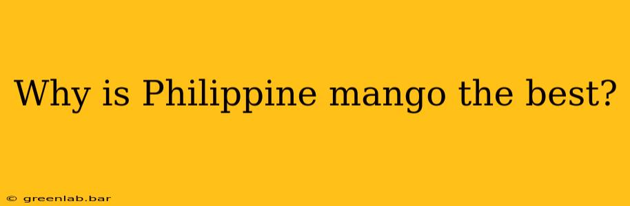 Why is Philippine mango the best?