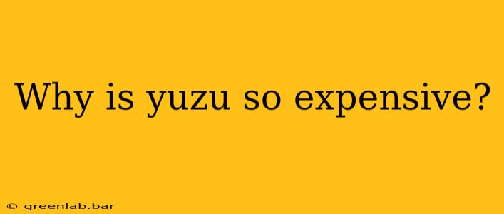 Why is yuzu so expensive?