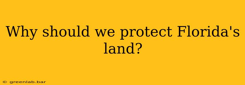 Why should we protect Florida's land?