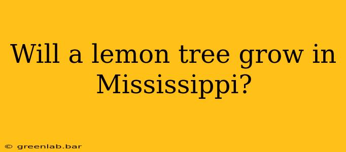 Will a lemon tree grow in Mississippi?