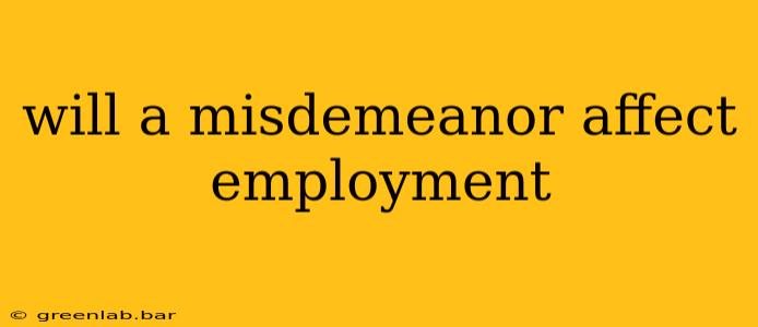 will a misdemeanor affect employment