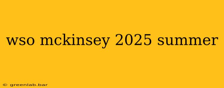 wso mckinsey 2025 summer